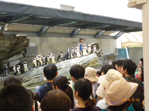 サンシャイン水族館